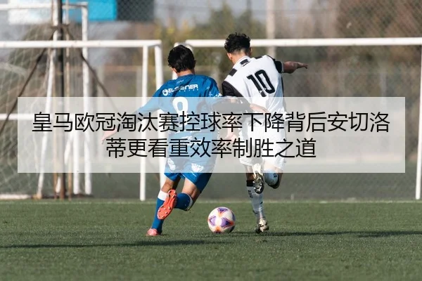 img_1783521399831_301_1_167.jpg